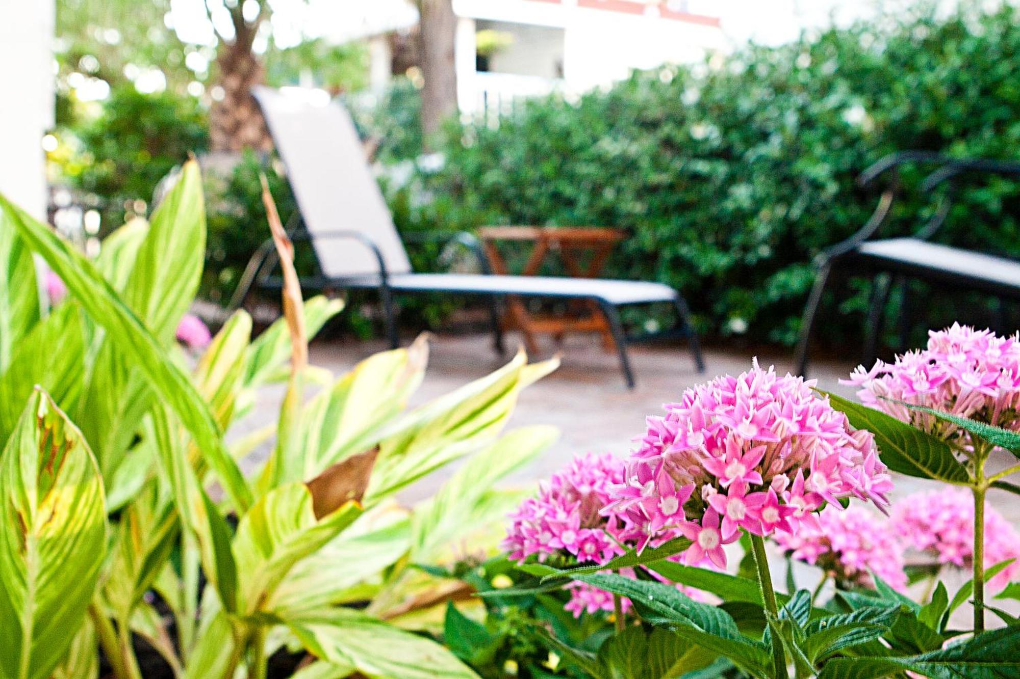 Desoto Beach Gardens Tybee Island Buitenkant foto