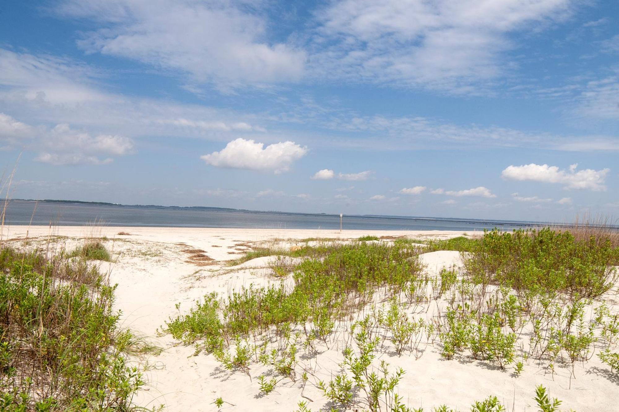 Desoto Beach Gardens Tybee Island Buitenkant foto